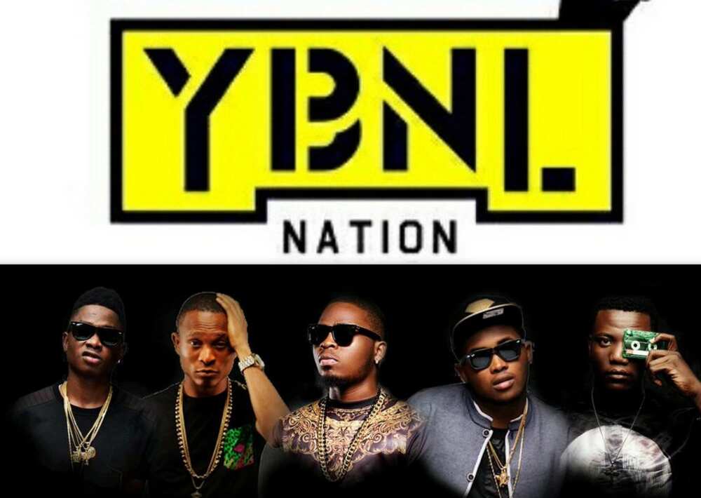 YNBL Nation
