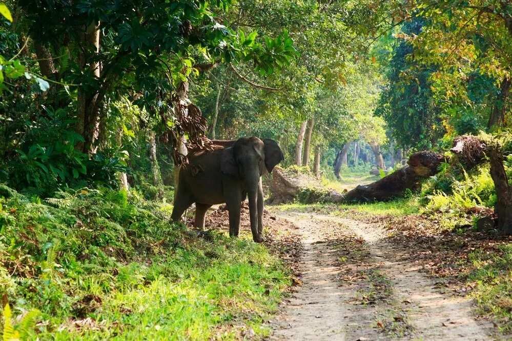 Gashaki-Gumpti National Park Gashaki-Gumpti National Park