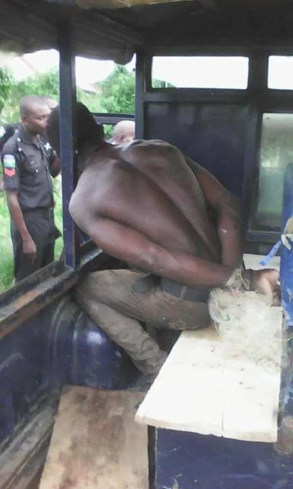 Man caught stealing plantain yesterday in a farm in Sagbama overside, Bayelsa State, Nigeria.