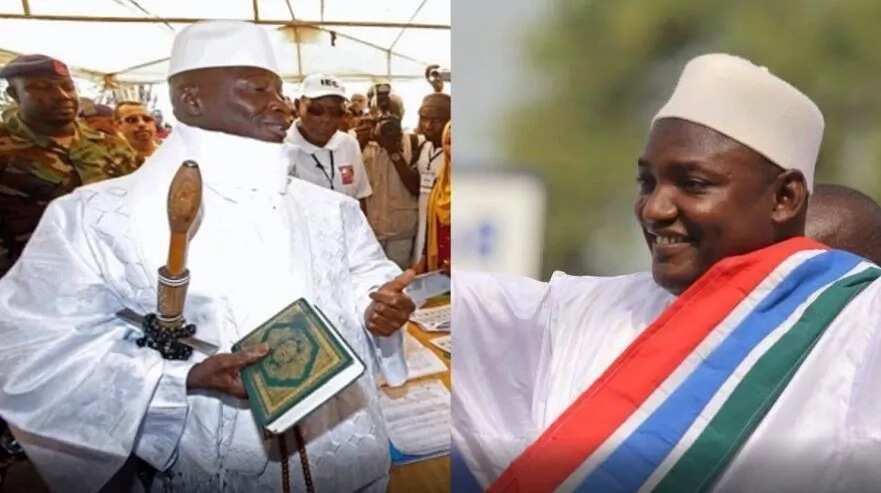 Buhari and Mahama have no moral right to ask for Jammeh's resignation - Falana