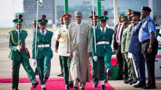 FG finally reveals those financing terrorism in Nigeria