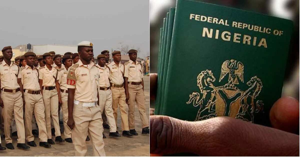 Nigeria Immigration Ranks And Structure Departments Legit Ng