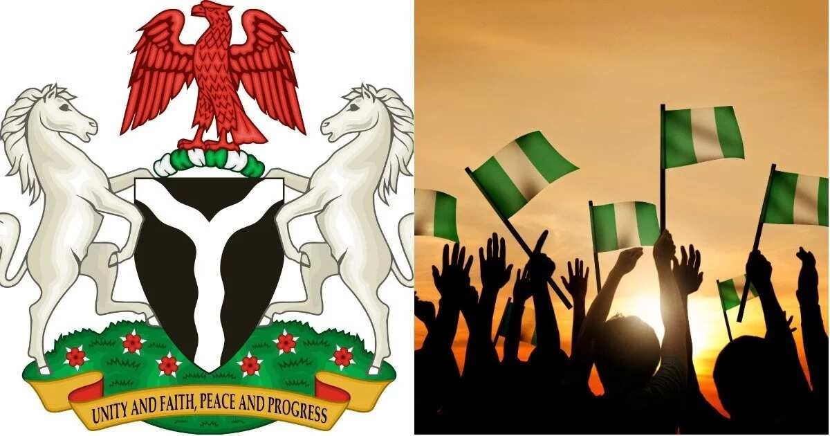 What Does The Eagle on The Nigeria Coat of Arm Represent?