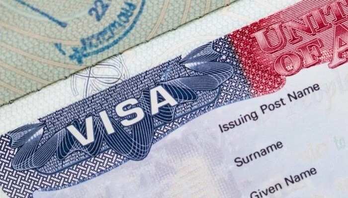 U.S Visa Application