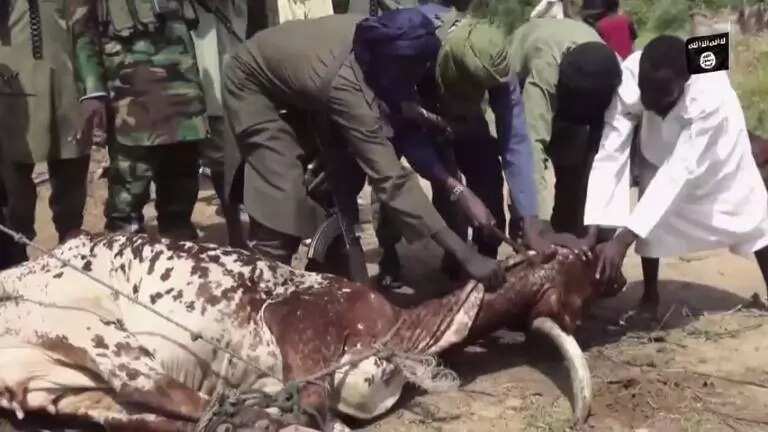 Boko Haram Celebrating Sallah In New Video