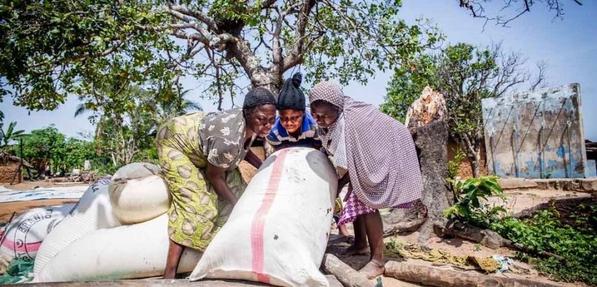 Cassava production