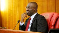 Har yanzu ban samu wata sanarwa a hukumance daga ubangidana ba - Hadimin Ekweremadu