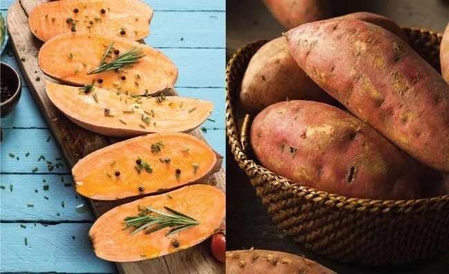 Health benefits of sweet potato vegetables