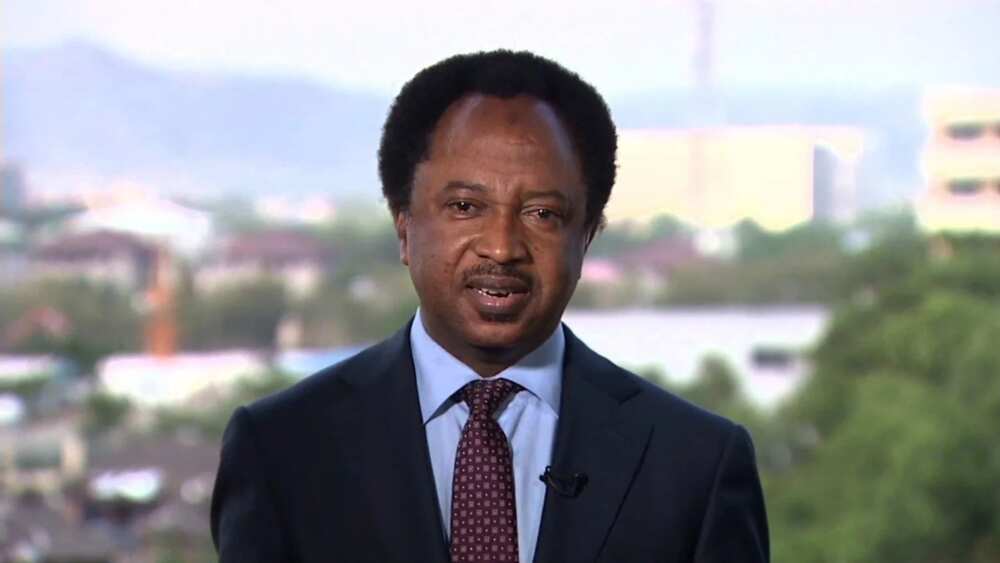 Why we changed order of 2019 elections - Senator Sani
