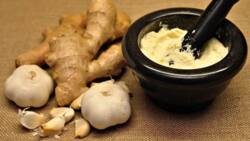 Top 15 benefits of ginger and garlic that you should know about