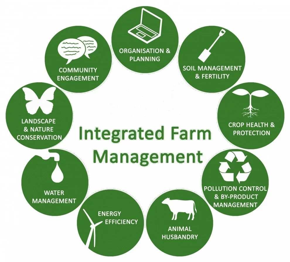 business plan for integrated farming