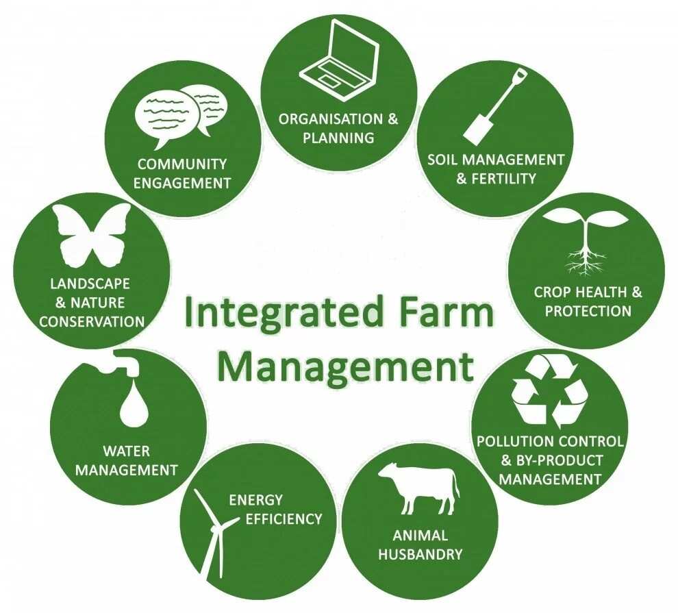 Integrated farming system and India: A complete guideline in 2020