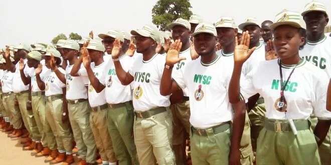 NYSC lineup