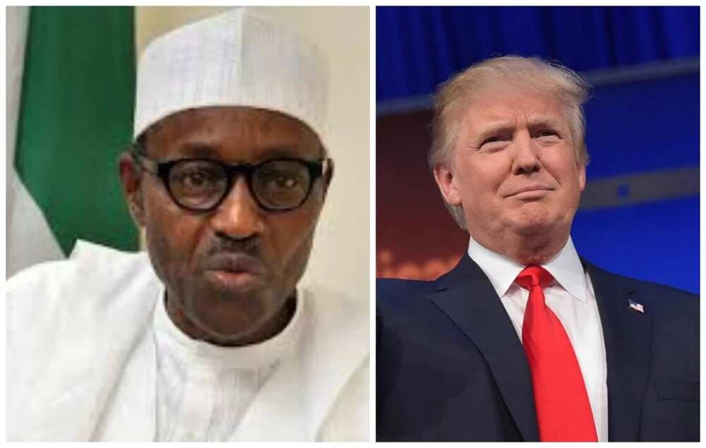 FG says Nigerians free to travel to U.S., not on ban list