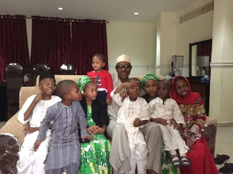 Muhammadu Buhari and his grandchildren