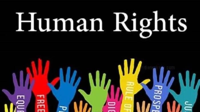 Agencies responsible for the protection of human rights: Full list