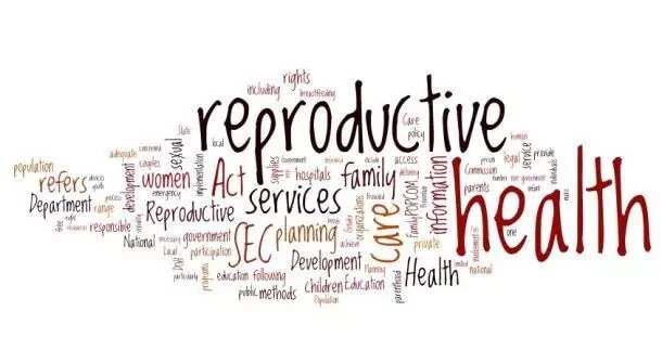 10 Components Of Reproductive Health Every Woman Should Know About Legit Ng