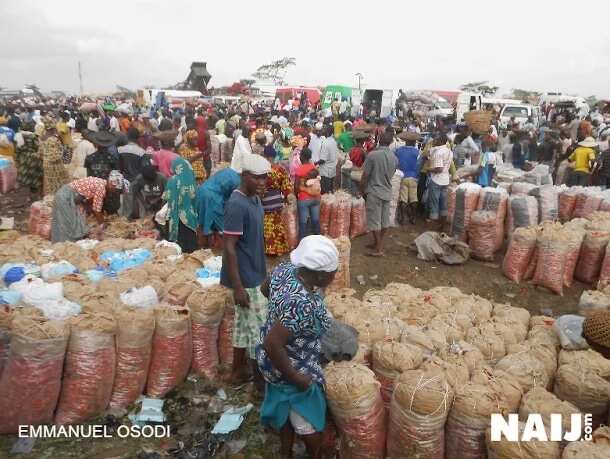 Hausa traders relocate to unhealthy location after crisis