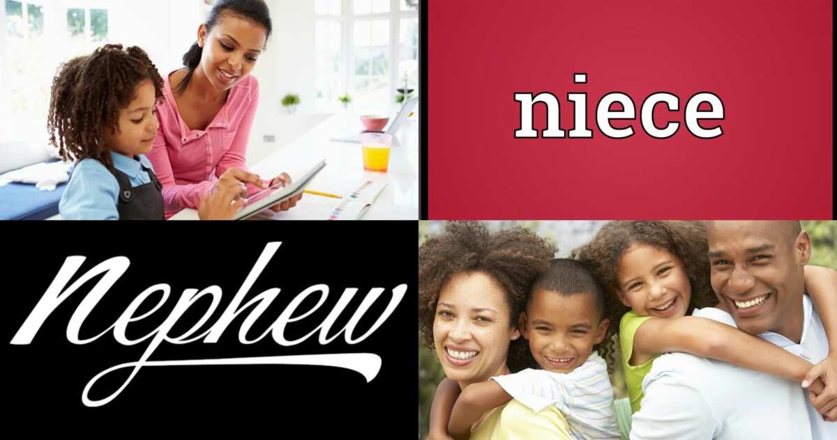 english-kin-terms-in-2021-niece-and-nephew-nephew-mother-father