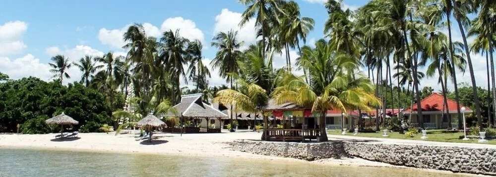 The Whispering Palms Resort The Whispering Palms Resort