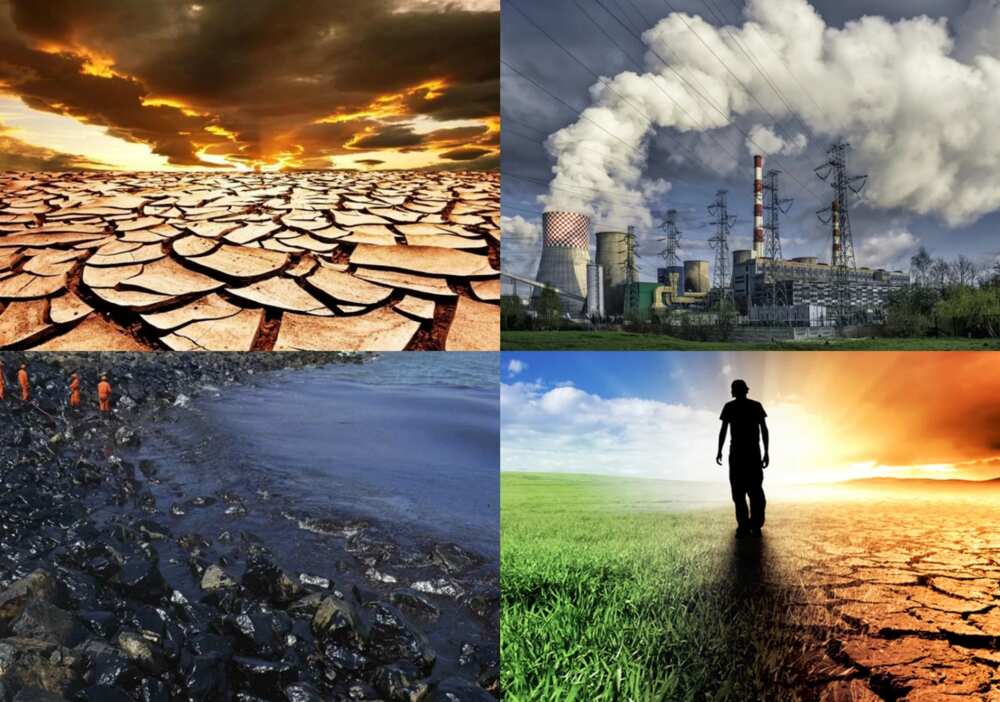 Types of environmental problems in Nigeria