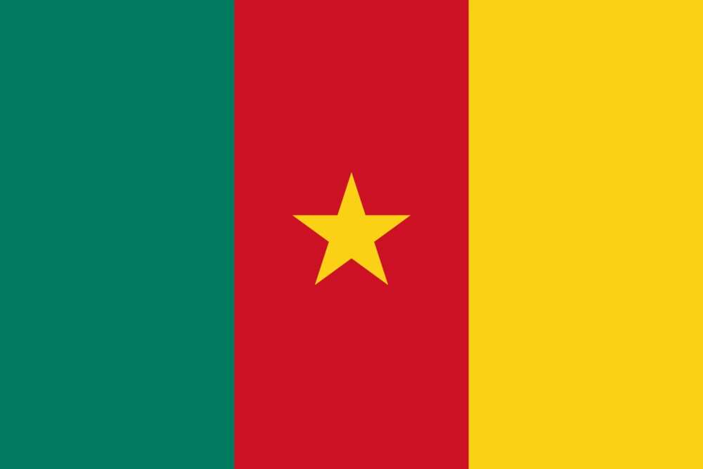 Flag of Cameroon Flag of Cameroon