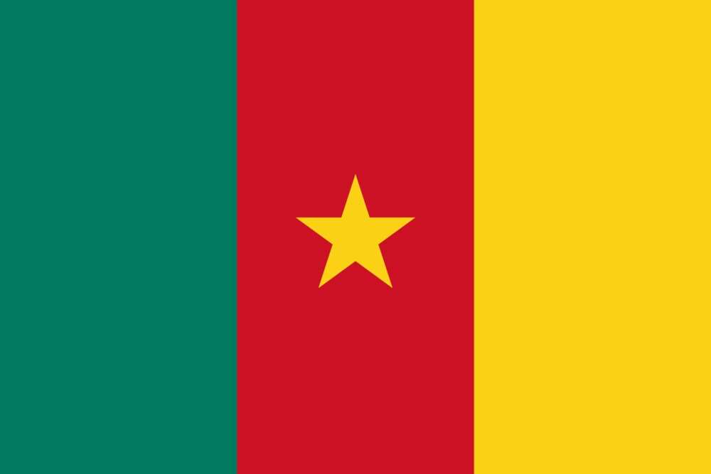 Flag of Cameroon