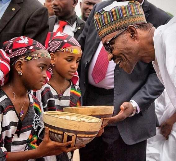 PHOTOS: President Buhari's Trip To Niger Republic