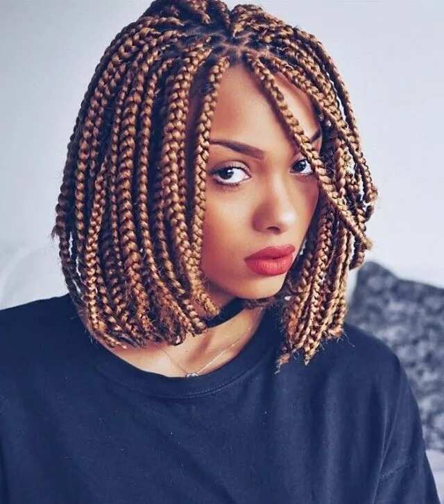 Bob Box Braids