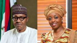 Buhari's govt lists massive properties of exposed ex-officials to be valued, sold