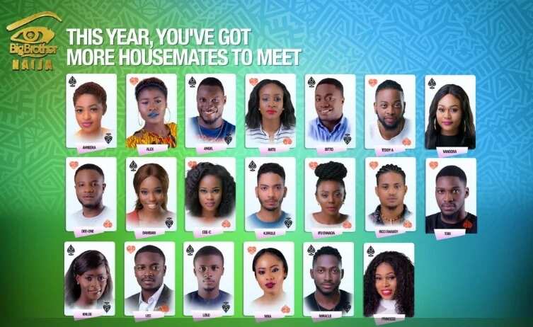 Big Brother Nigeria housemates 2018