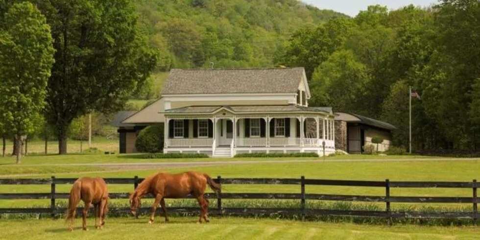 own-a-barn-or-farm-building-now-s-the-ideal-time-to-consider-your