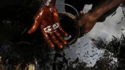 Crude oil in Nigeria: advantages for economical development