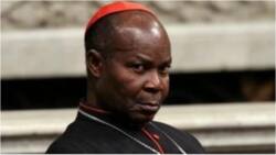 Nigeria at 59: The truth is our democracy is sick unto death - Cardinal Okogie