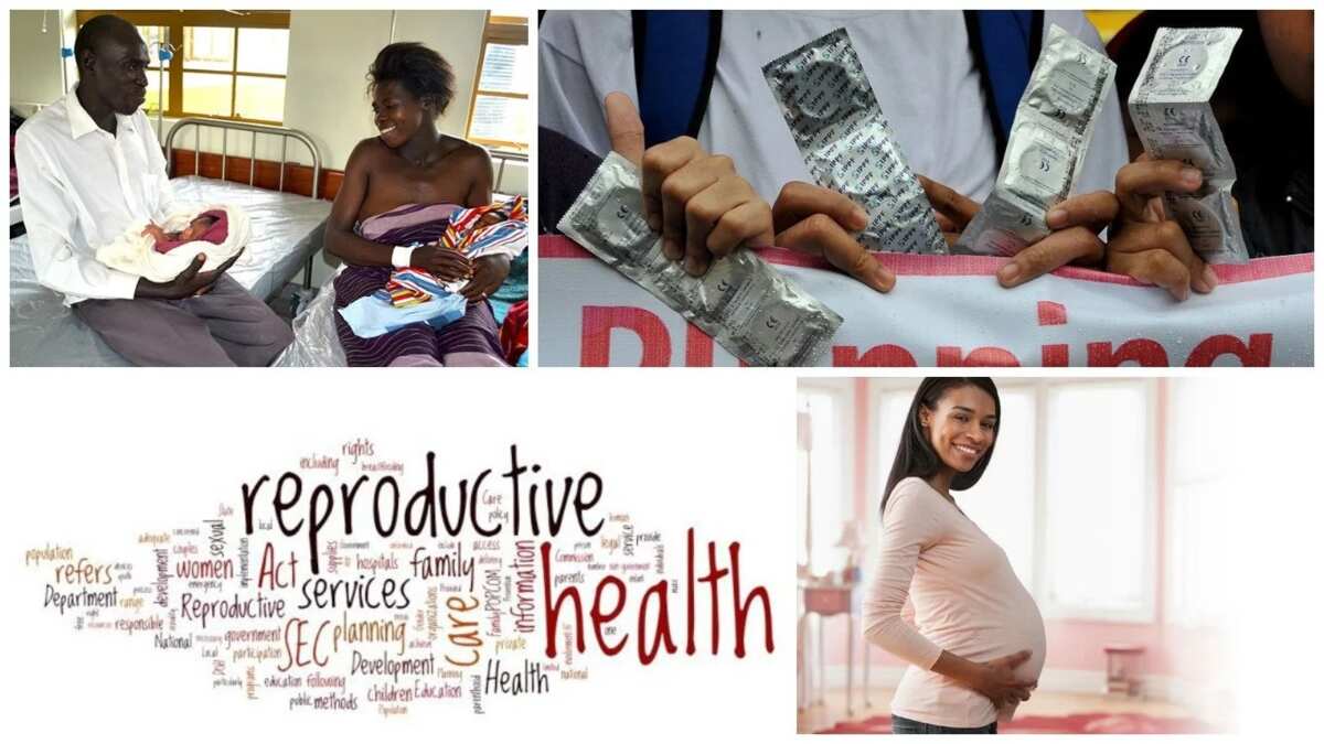 10-components-of-reproductive-health-every-woman-should-know-about