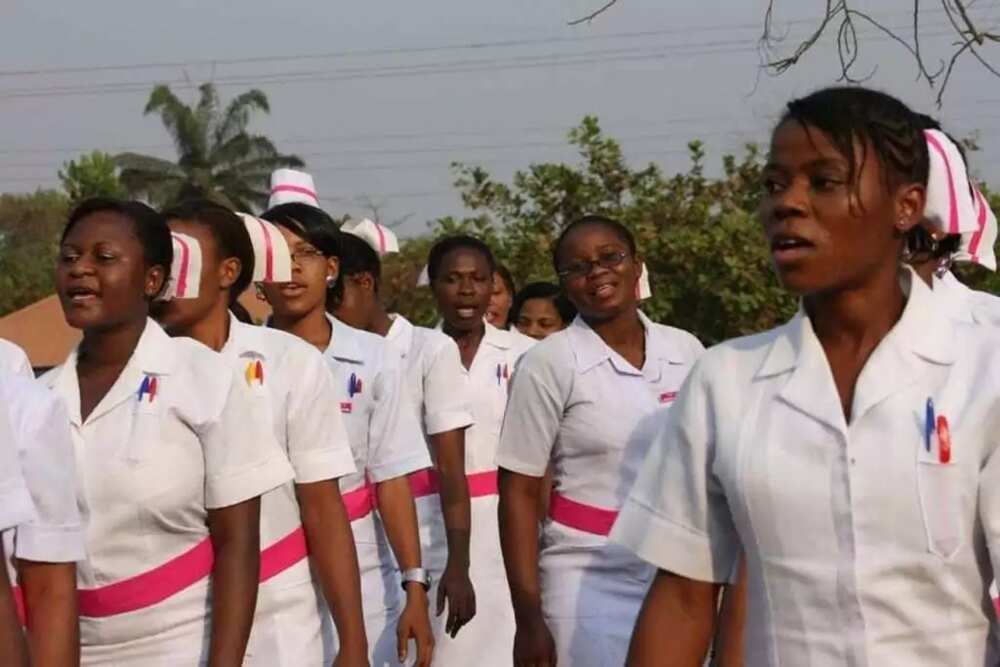 Nursing schools in Nigeria and their requirements