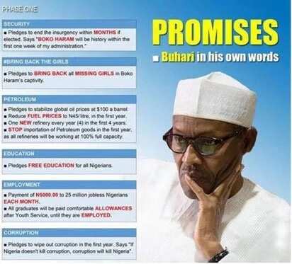 10 fantastically unbelievable campaign promises Buhari made