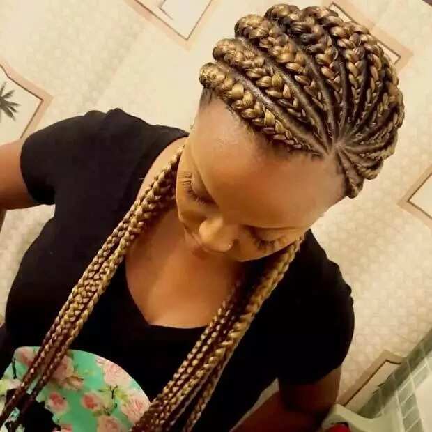 Pop of caramel Ghana braids