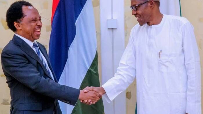 Shehu Sani mocks Buhari government, reveals what FG did concerning poverty in Nigeria
