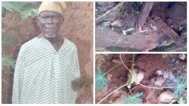 Dead bodies found in 80-year-old man’s house in Osun - Legit.ng