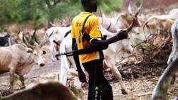 Tension as Fulani herdsmen attack Enugu community, scores feared dead