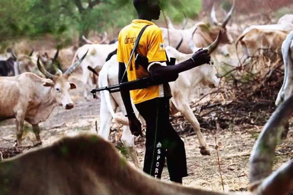 Fulani herdsmen kill 6 in Benue community again
