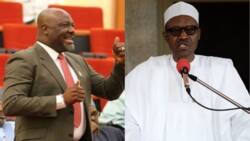 APC govt has borrowed $11trn in just 3 years while PDP only borrowed $6trn in 16 years - Melaye fires at ruling party