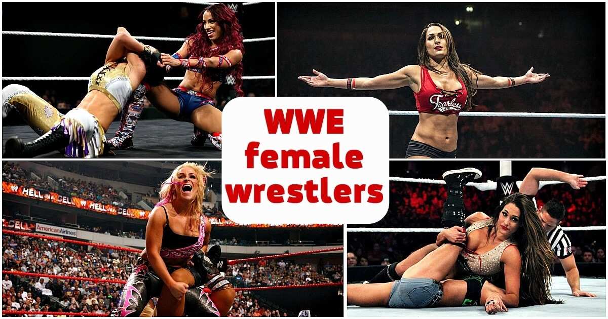 wwe female wrestlers 2019