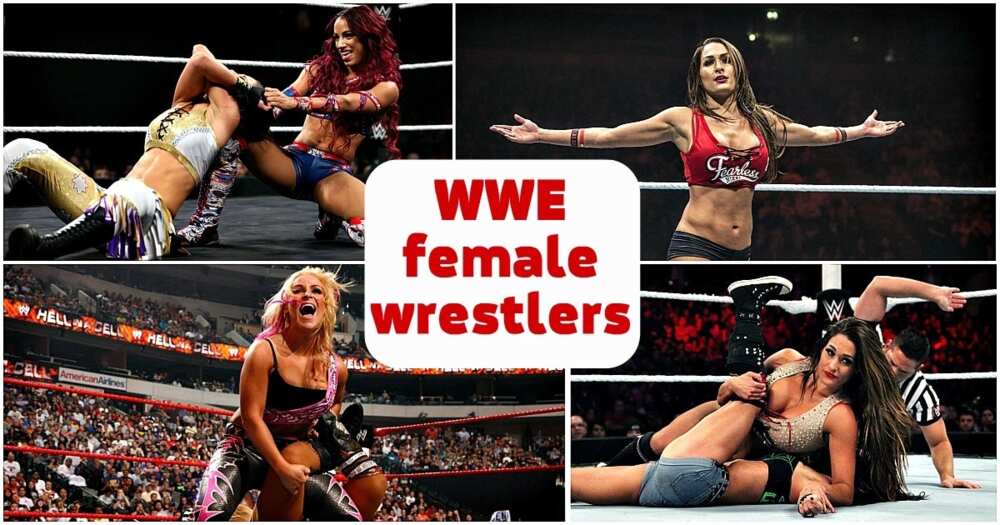 10 Best Wwe Female Wrestlers In 18 Legit Ng