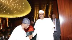 BREAKING: "Your comment on Buhari's govt is absurd", Lai Mohammed slams PDP