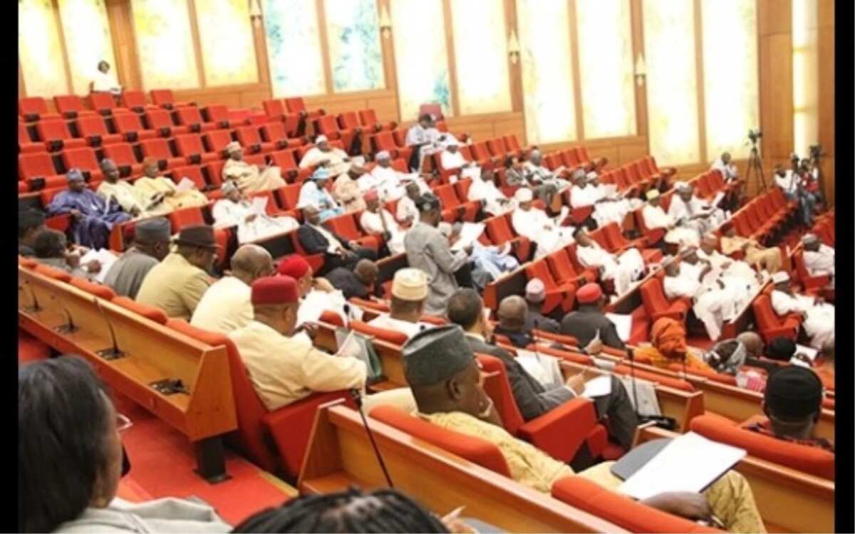 PDP senators nickname APC 'All Progressives Crisis' - Legit.ng