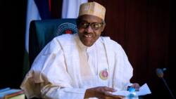Strong APC members head to London set to mount pressure on Buhari over chairmanship position