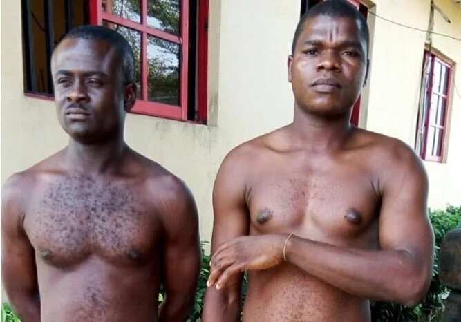 The men were arrested by police officers in Port Harcourt, Rivers state. Photo credit: The Nation