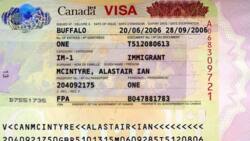 Canada visa in Nigeria: Main requirements for successful applications